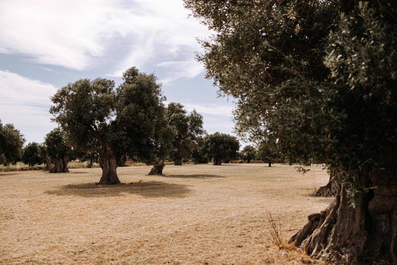 Masseria Garrappa Fasano Eksteriør billede