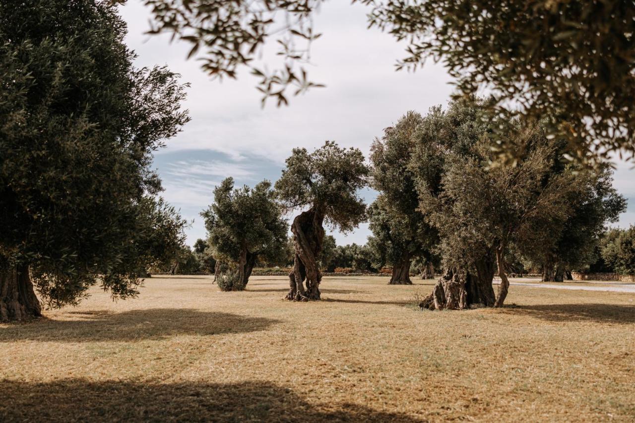 Masseria Garrappa Fasano Eksteriør billede