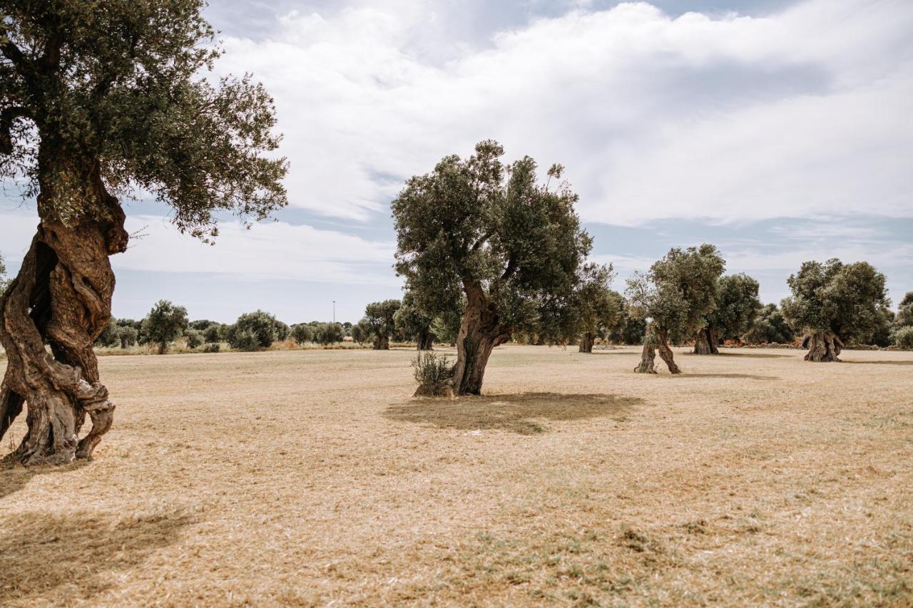 Masseria Garrappa Fasano Eksteriør billede