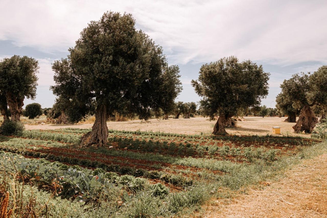 Masseria Garrappa Fasano Eksteriør billede
