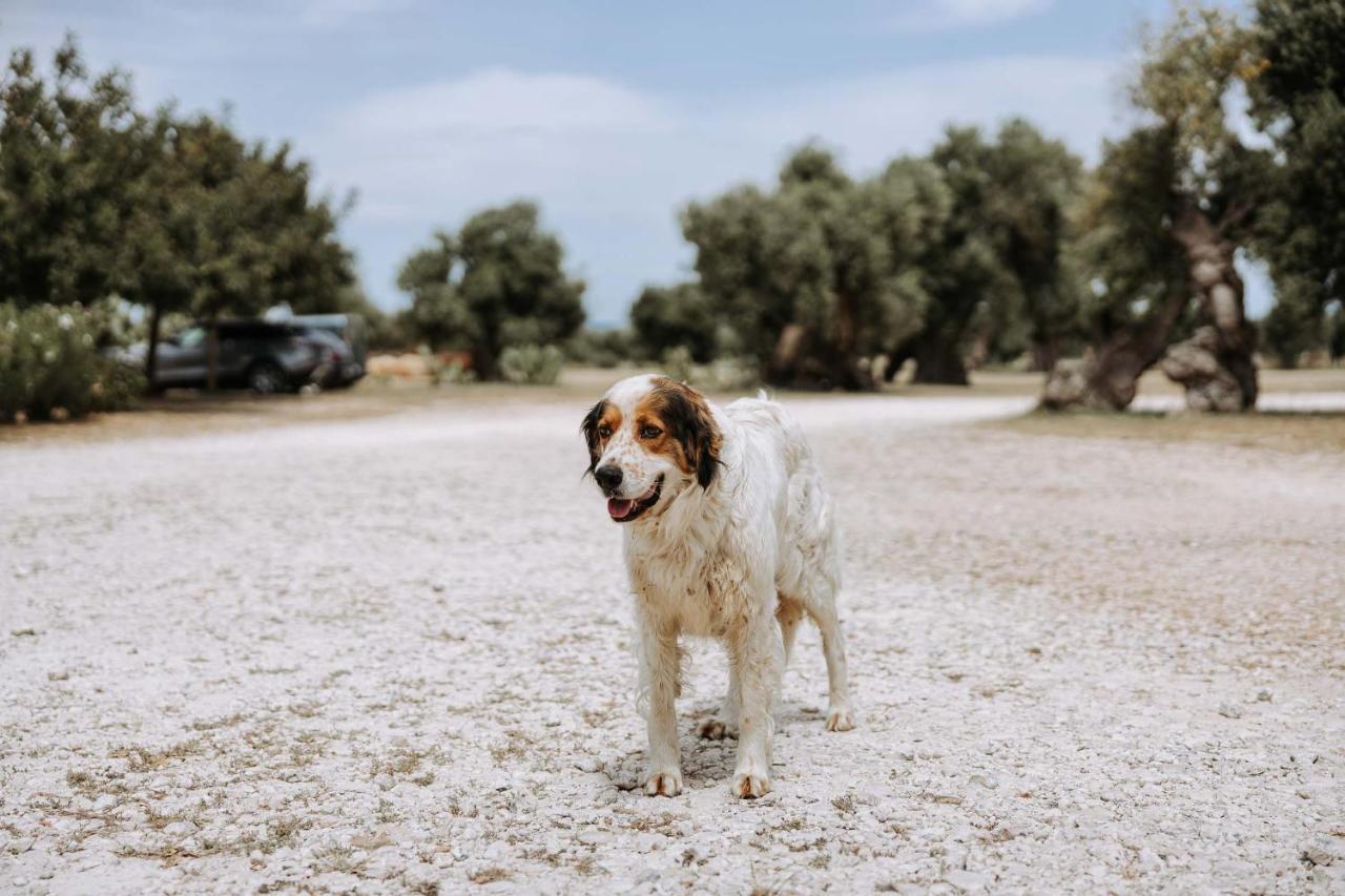 Masseria Garrappa Fasano Eksteriør billede